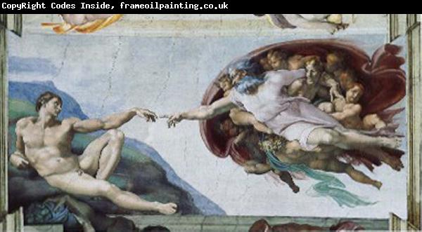 CERQUOZZI, Michelangelo The creation of Adam